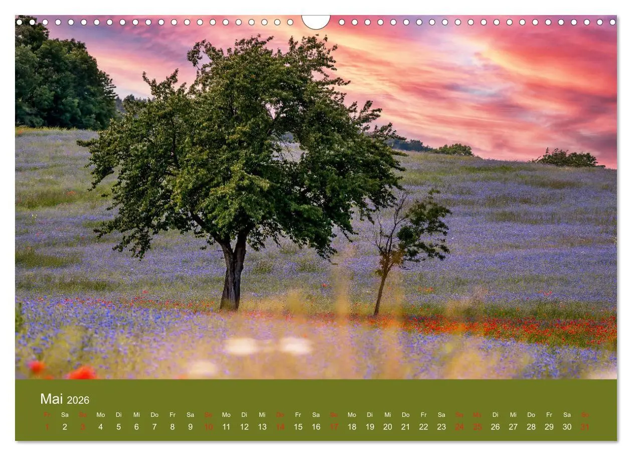 Bild: 9783457690680 | Mohnblumen Romantik (Wandkalender 2026 DIN A3 quer), CALVENDO...