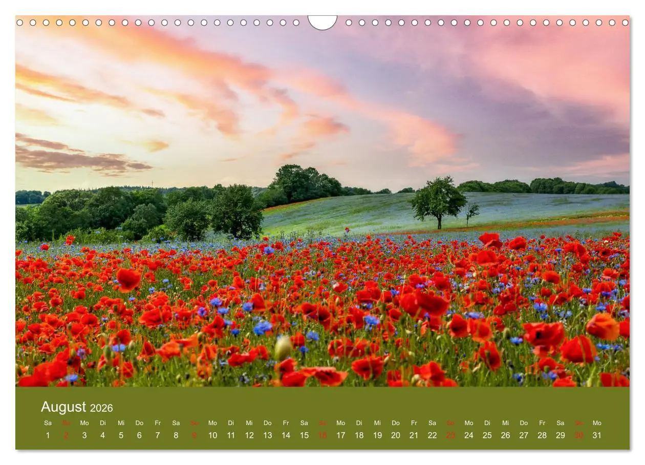 Bild: 9783457690680 | Mohnblumen Romantik (Wandkalender 2026 DIN A3 quer), CALVENDO...