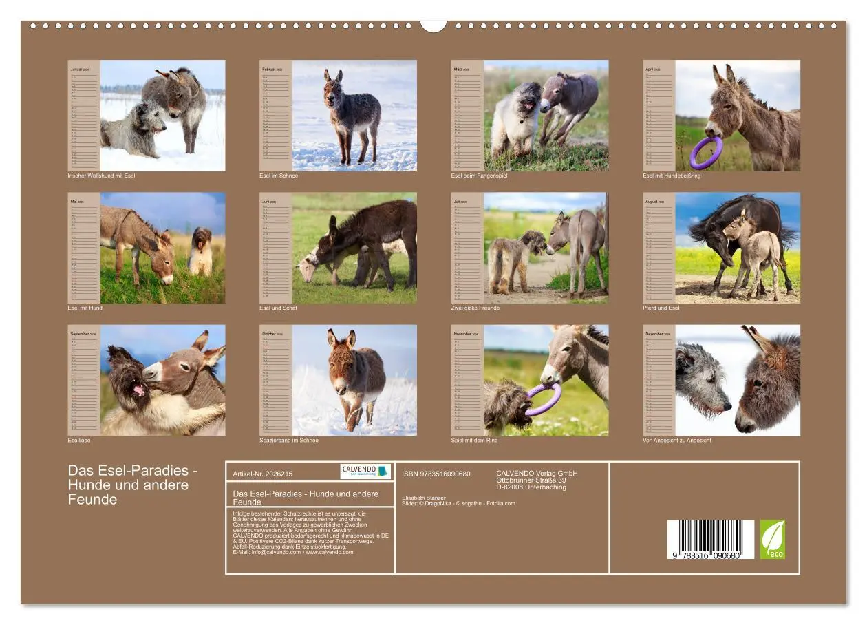 Bild: 9783516090680 | Das Esel-Paradies - Hunde und andere Feunde (hochwertiger Premium...