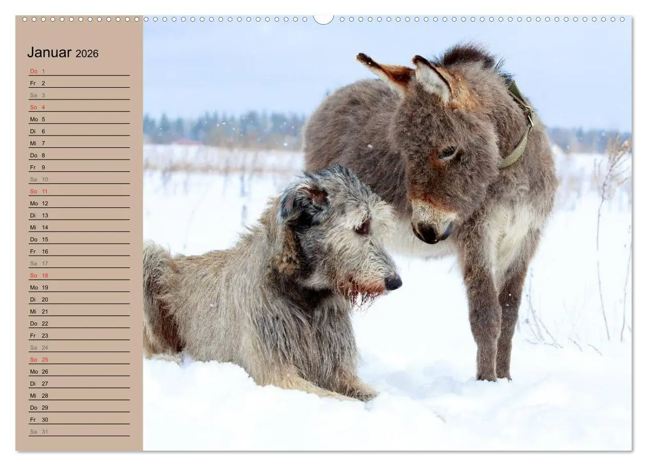 Bild: 9783516090680 | Das Esel-Paradies - Hunde und andere Feunde (hochwertiger Premium...