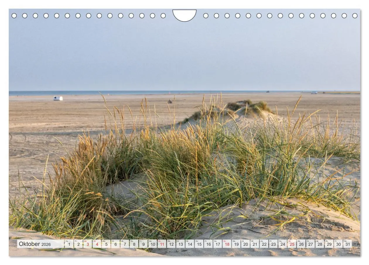 Bild: 9783516160680 | Die Insel Römö (Wandkalender 2026 DIN A4 quer), CALVENDO...