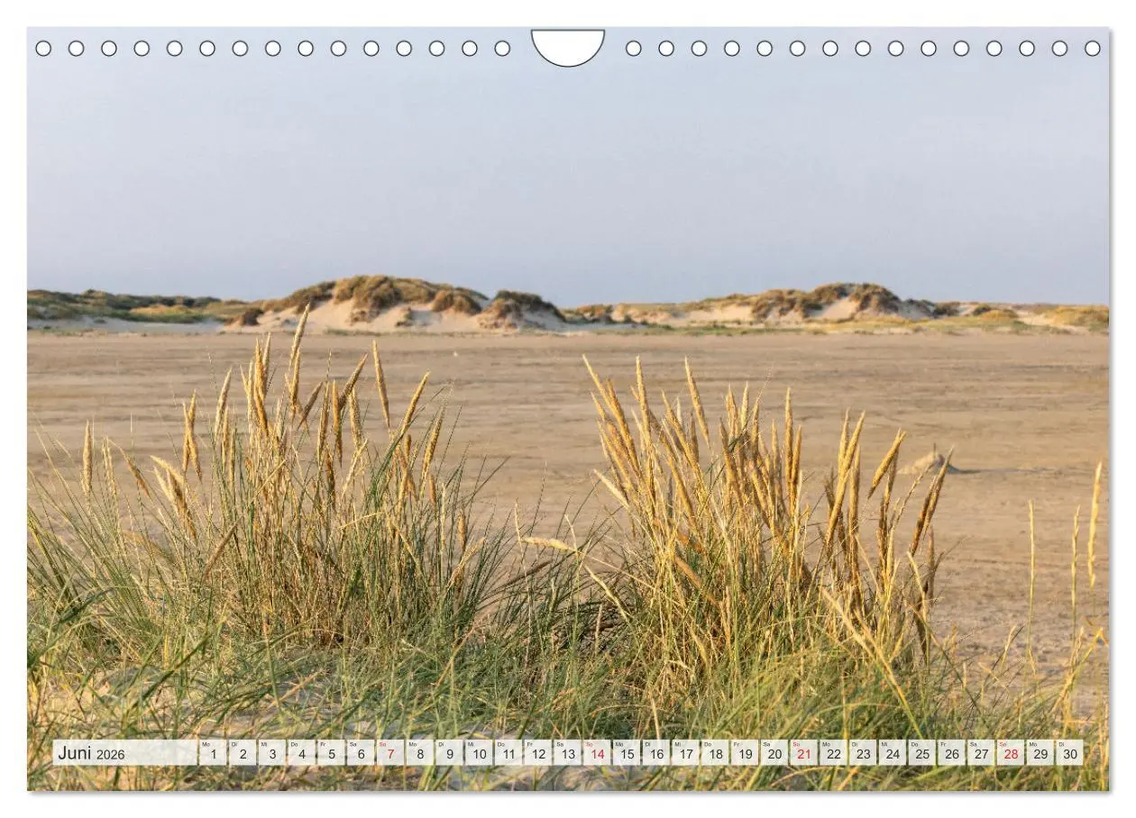 Bild: 9783516160680 | Die Insel Römö (Wandkalender 2026 DIN A4 quer), CALVENDO...