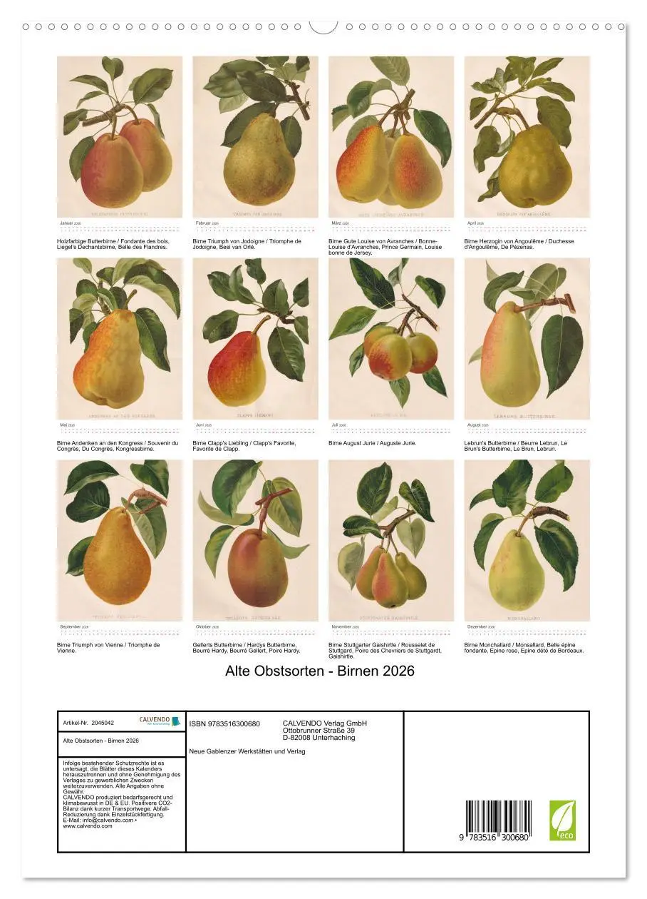 Bild: 9783516300680 | Alte Obstsorten - Birnen 2026 (hochwertiger Premium Wandkalender...