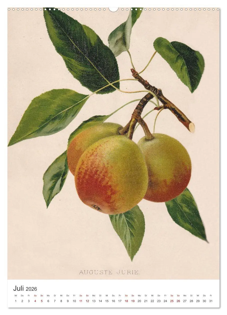 Bild: 9783516300680 | Alte Obstsorten - Birnen 2026 (hochwertiger Premium Wandkalender...