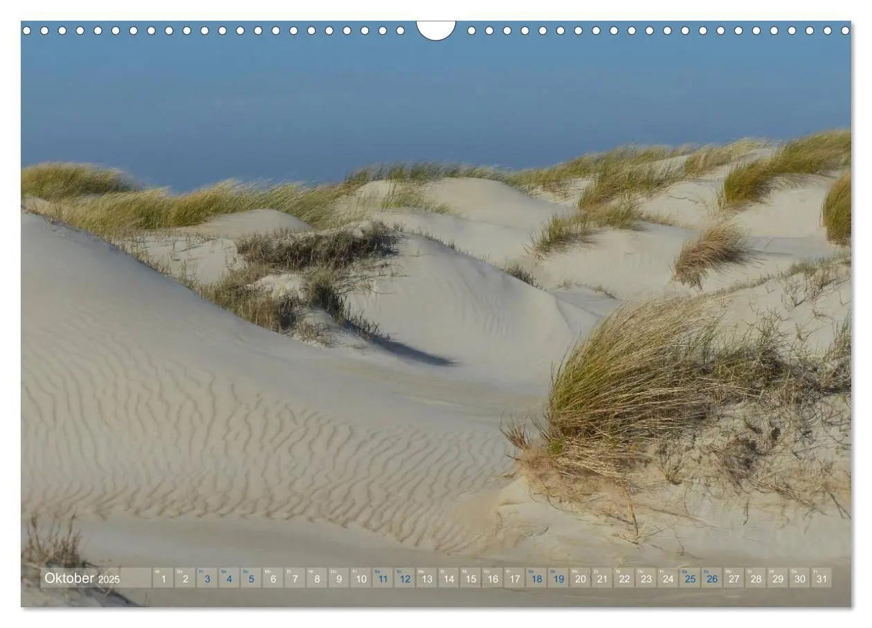 Bild: 9783435660780 | Texel. Neue Dünen (Wandkalender 2025 DIN A3 quer), CALVENDO...