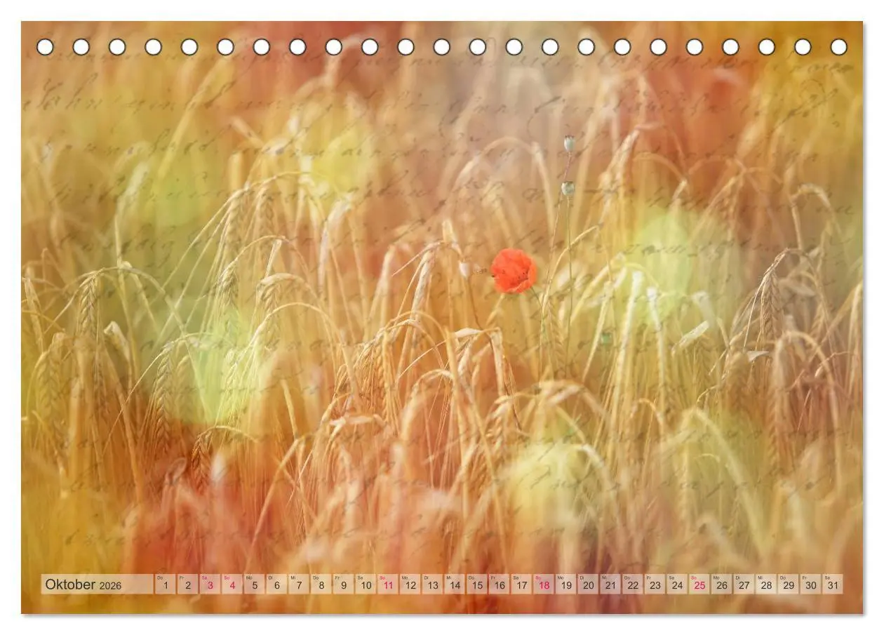 Bild: 9783516150780 | Vintage Nature - Romantische Naturaufnahmen (Tischkalender 2026 DIN...