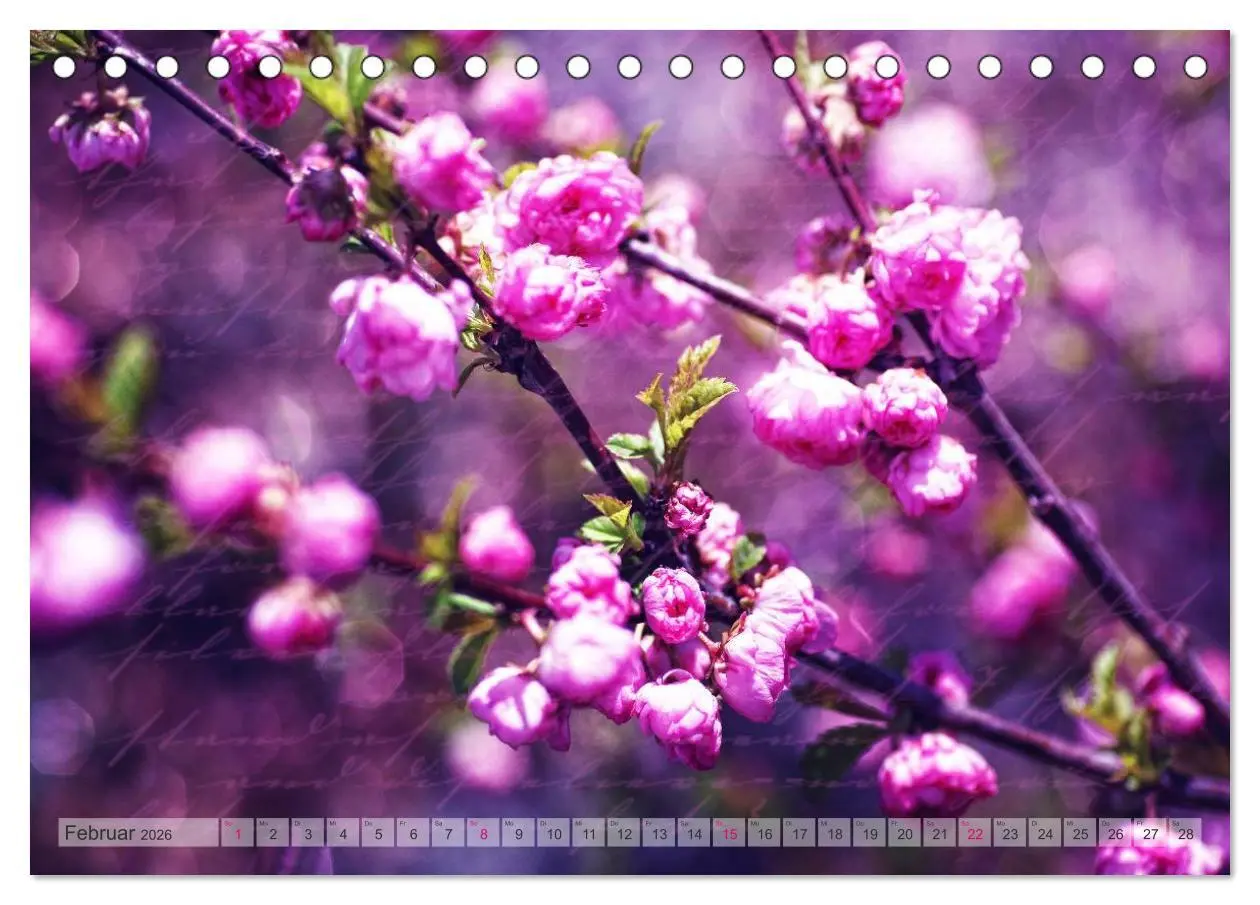 Bild: 9783516150780 | Vintage Nature - Romantische Naturaufnahmen (Tischkalender 2026 DIN...