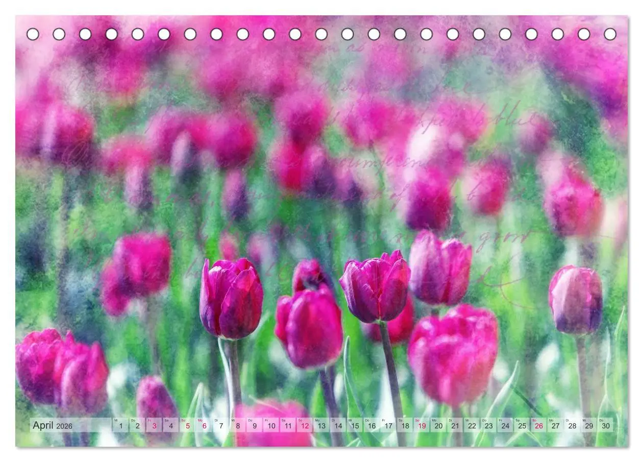 Bild: 9783516150780 | Vintage Nature - Romantische Naturaufnahmen (Tischkalender 2026 DIN...
