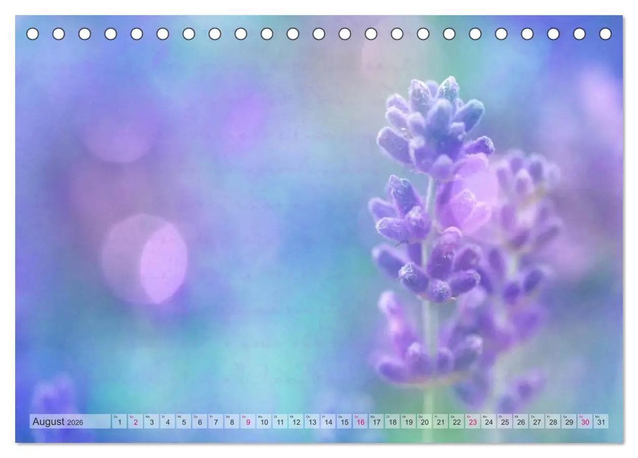 Bild: 9783516150780 | Vintage Nature - Romantische Naturaufnahmen (Tischkalender 2026 DIN...
