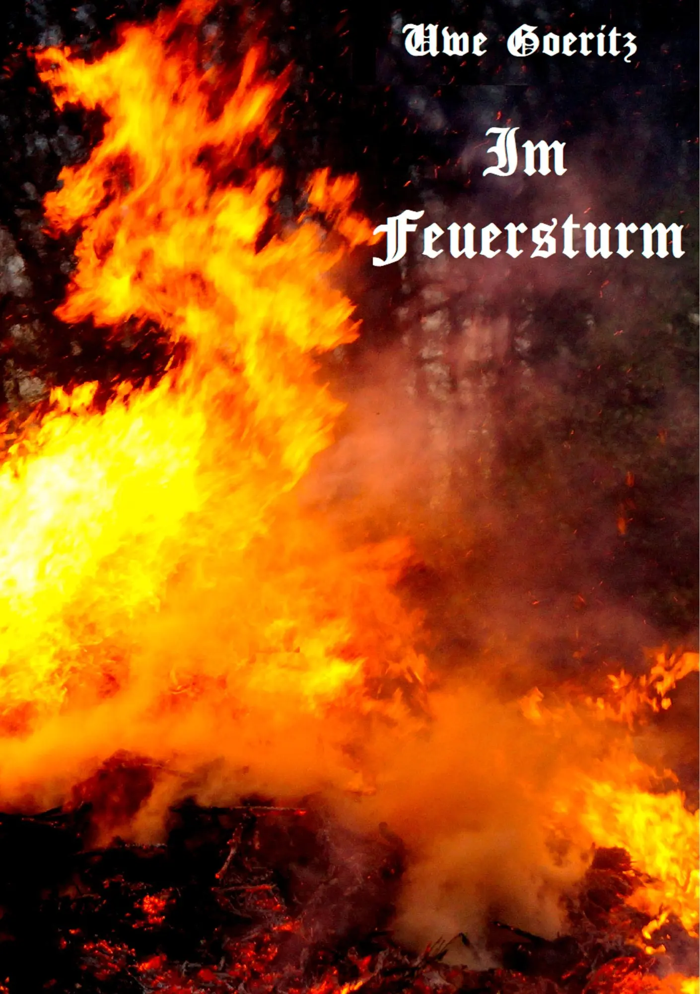 Cover: 9783748120780 | Im Feuersturm | Grete Minde | Uwe Goeritz | Taschenbuch | 312 S.