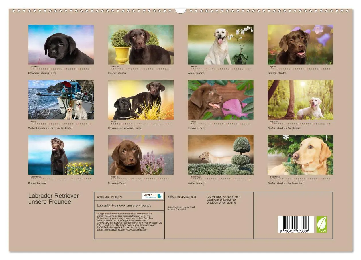 Bild: 9783457670880 | Labrador Retriever unsere Freunde (hochwertiger Premium...