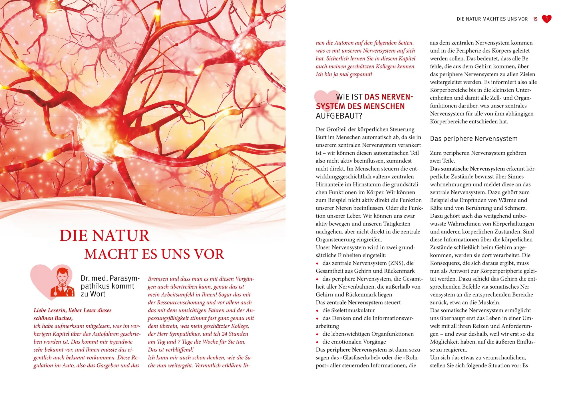 Bild: 9783833870880 | Das Parasympathikus-Prinzip | Ursula Eder (u. a.) | Taschenbuch | 2019