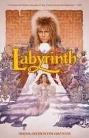 Cover: 9798892150880 | Jim Henson's Labyrinth Original Motion Picture Adaptation | Jacobson