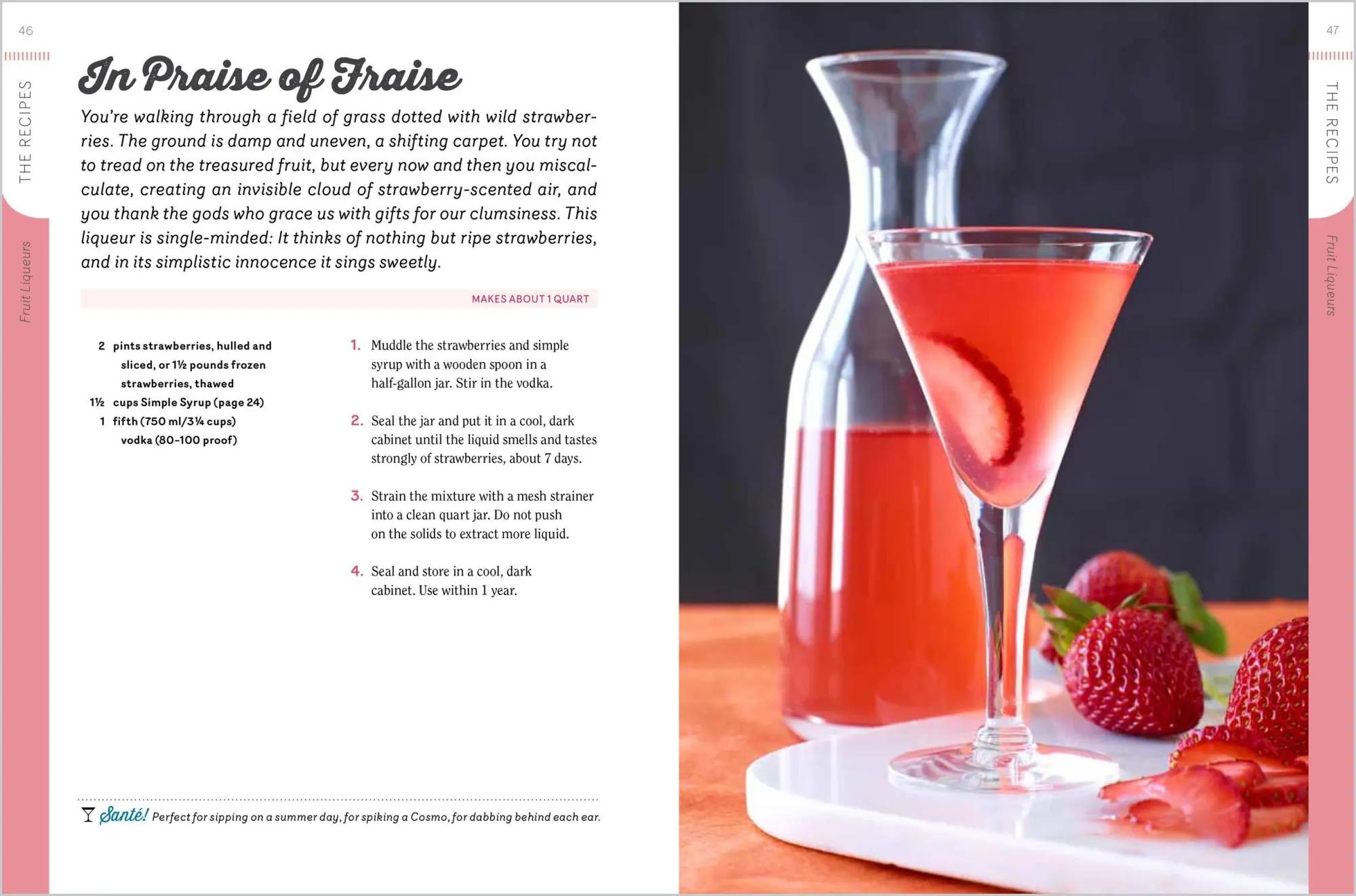 Bild: 9781612120980 | Homemade Liqueurs and Infused Spirits | Andrew Schloss | Taschenbuch