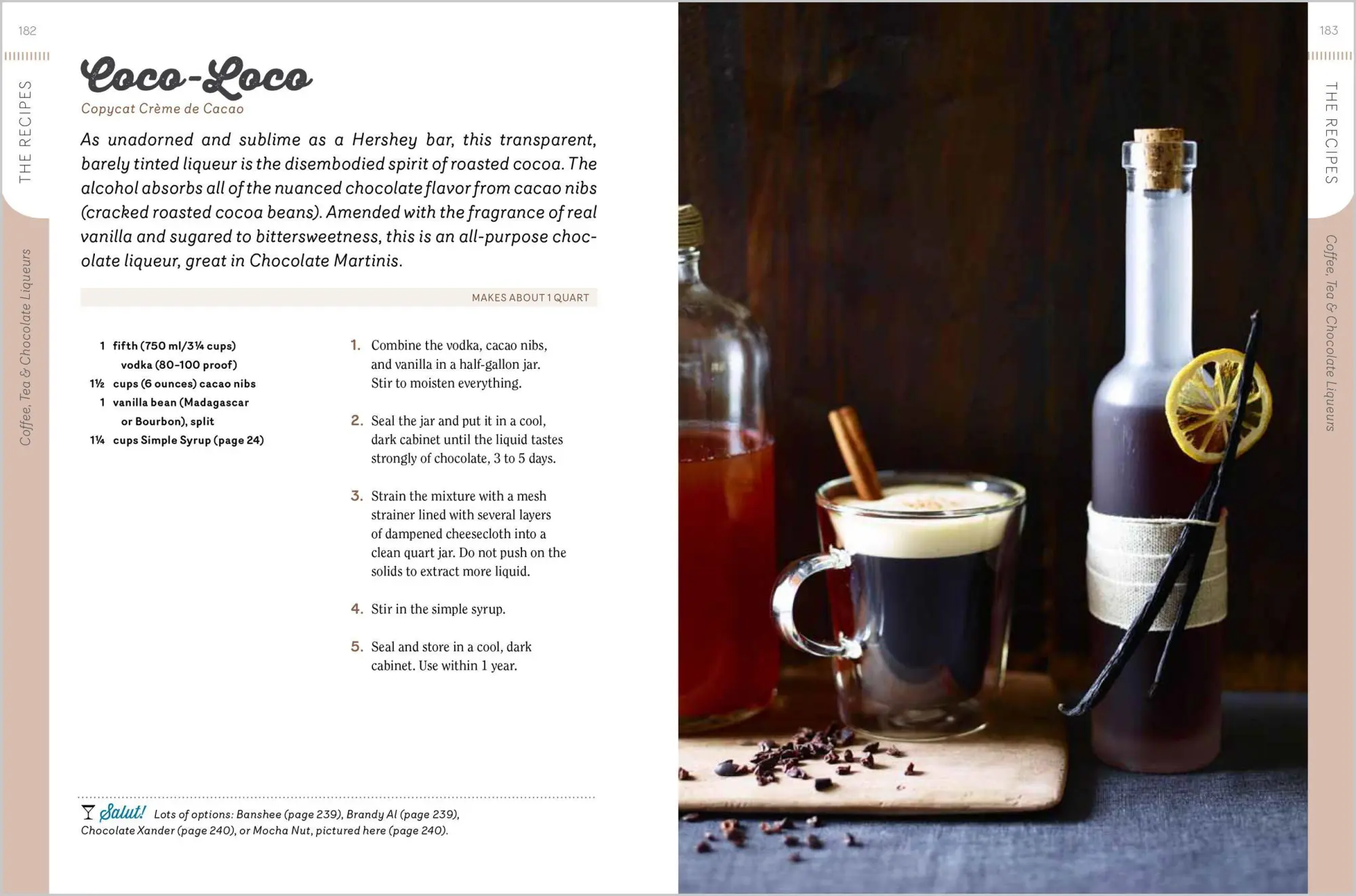 Bild: 9781612120980 | Homemade Liqueurs and Infused Spirits | Andrew Schloss | Taschenbuch