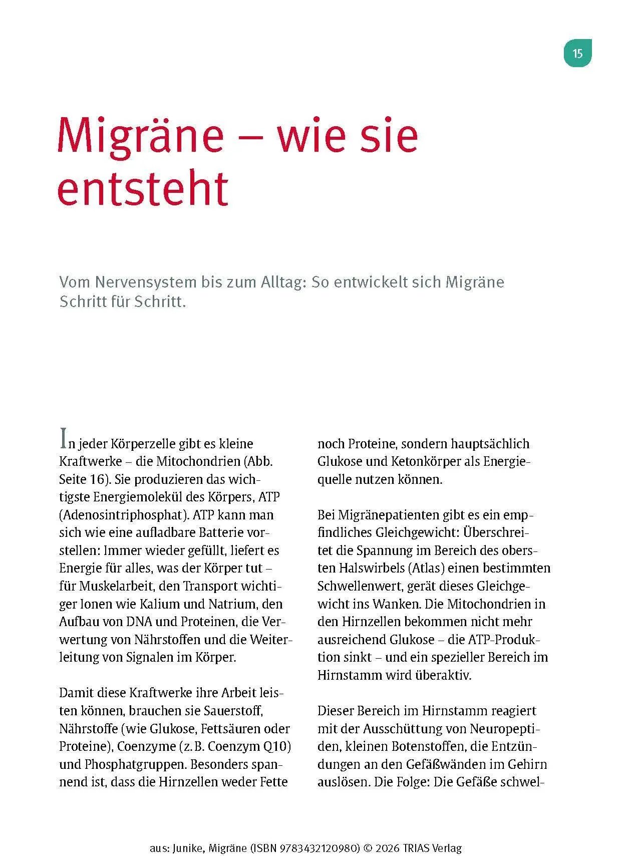 Bild: 9783432120980 | Naturheilpraxis Migräne | Kathrin-Lisa Junike | Taschenbuch | 132 S.