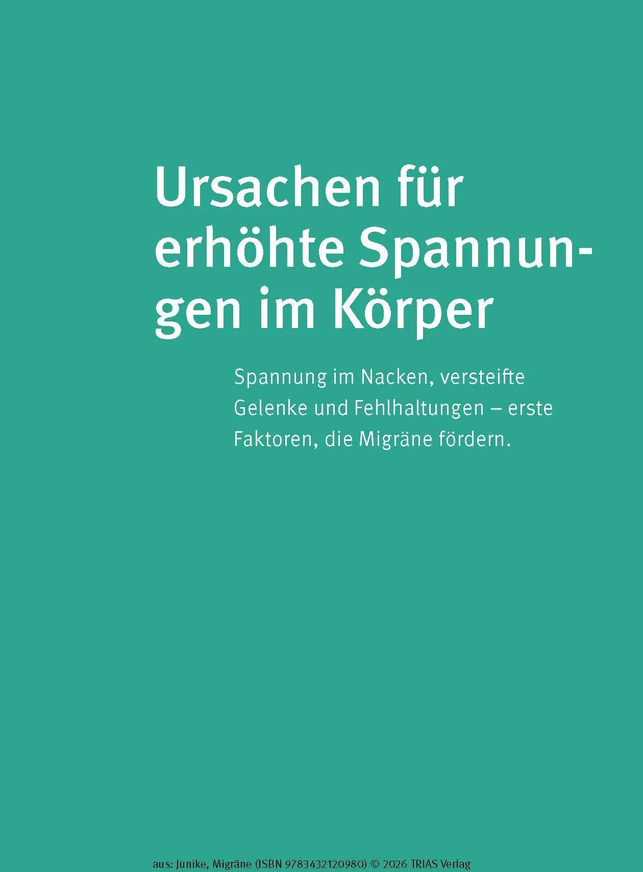Bild: 9783432120980 | Naturheilpraxis Migräne | Kathrin-Lisa Junike | Taschenbuch | 132 S.