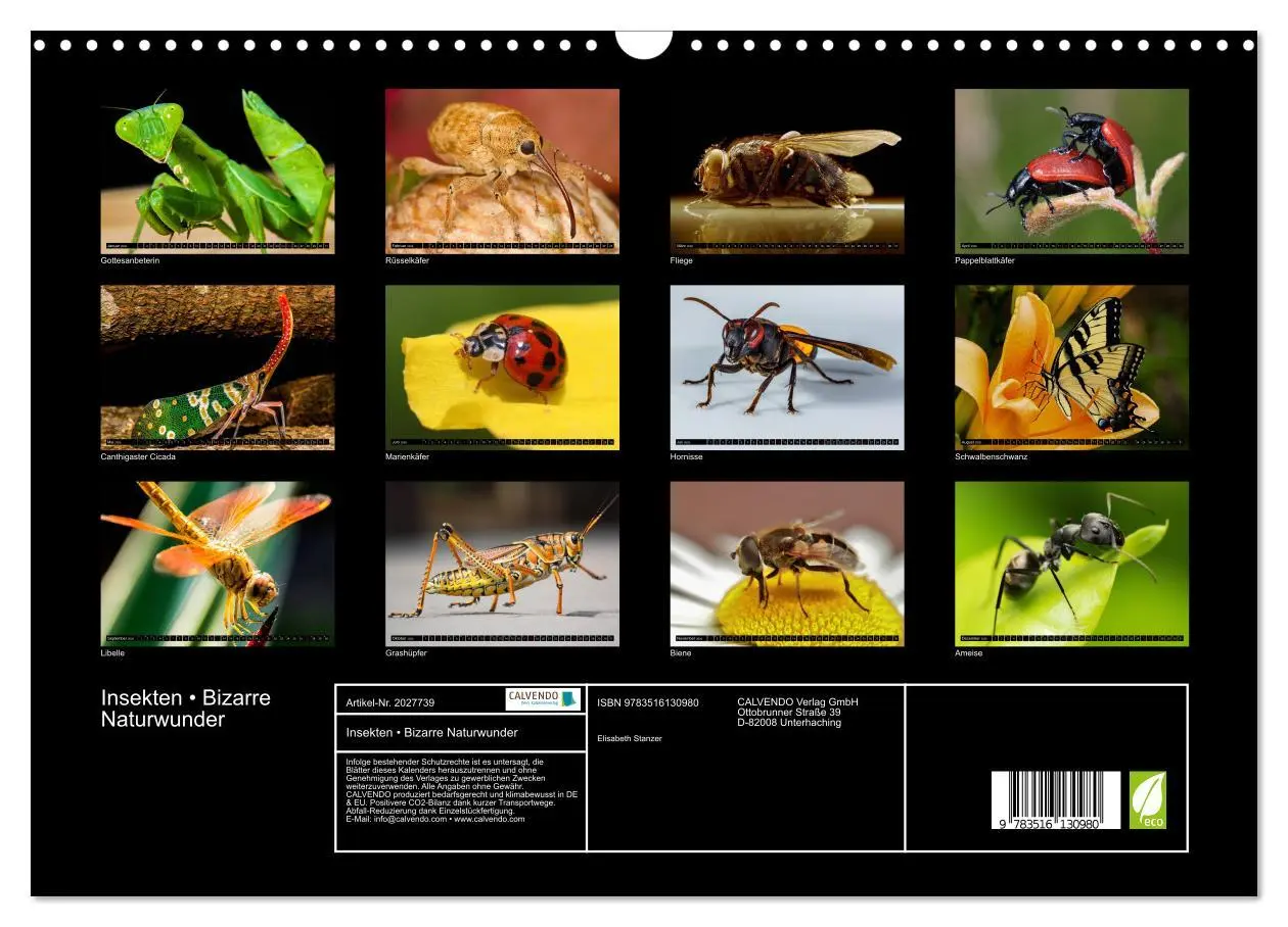 Bild: 9783516130980 | Insekten ¿ Bizarre Naturwunder (Wandkalender 2026 DIN A3 quer),...