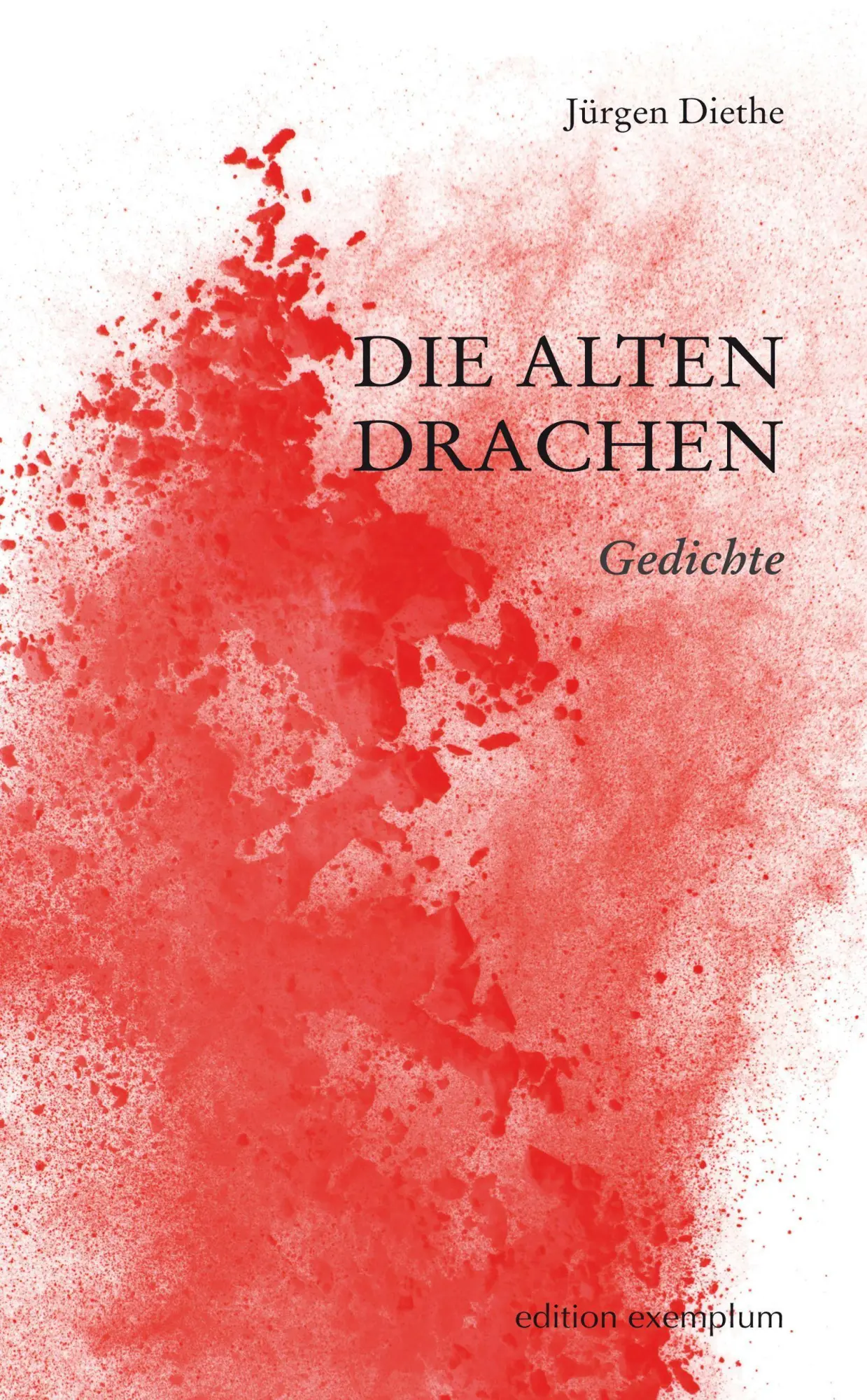 Cover: 9783745510980 | Die alten Drachen | Gedichte | Jürgen Diethe | Taschenbuch | Deutsch