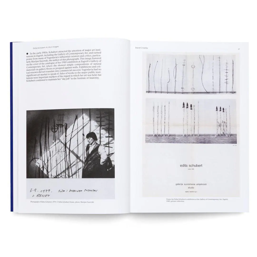 Bild: 9783775760980 | Edita Schubert: Profusion | David Crowley | Taschenbuch | 200 S.