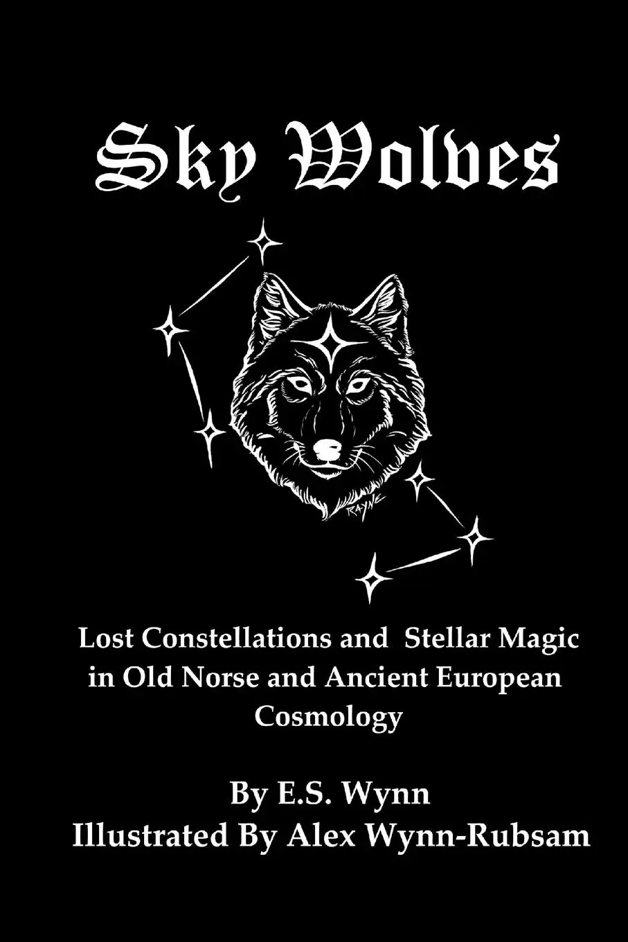 Cover: 9781678141080 | Sky Wolves | E. S. Wynn | Taschenbuch | Kartoniert / Broschiert | 2020