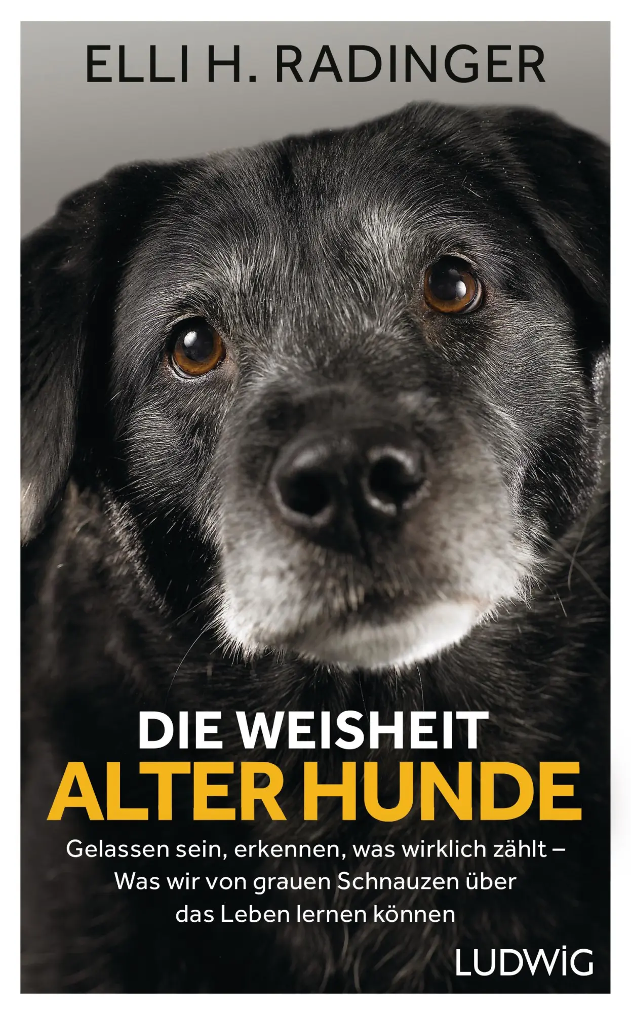 Cover: 9783453281080 | Die Weisheit alter Hunde | Elli H. Radinger | Buch | 320 S. | Deutsch