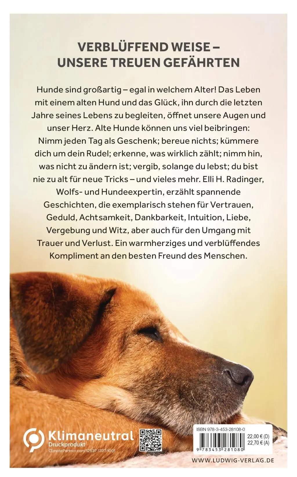 Bild: 9783453281080 | Die Weisheit alter Hunde | Elli H. Radinger | Buch | 320 S. | Deutsch