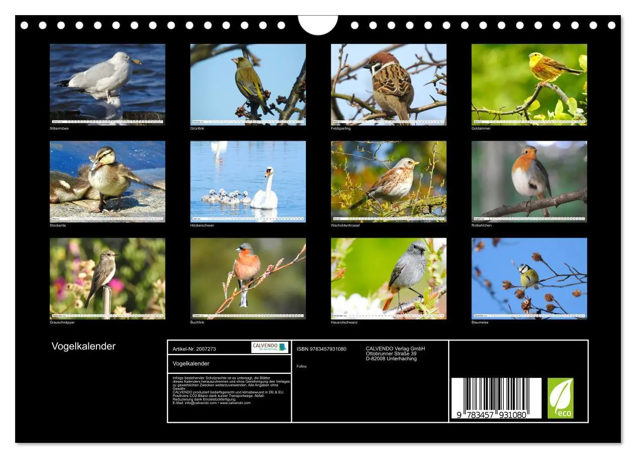 Bild: 9783457931080 | Vogelkalender (Wandkalender 2026 DIN A4 quer), CALVENDO Monatskalender