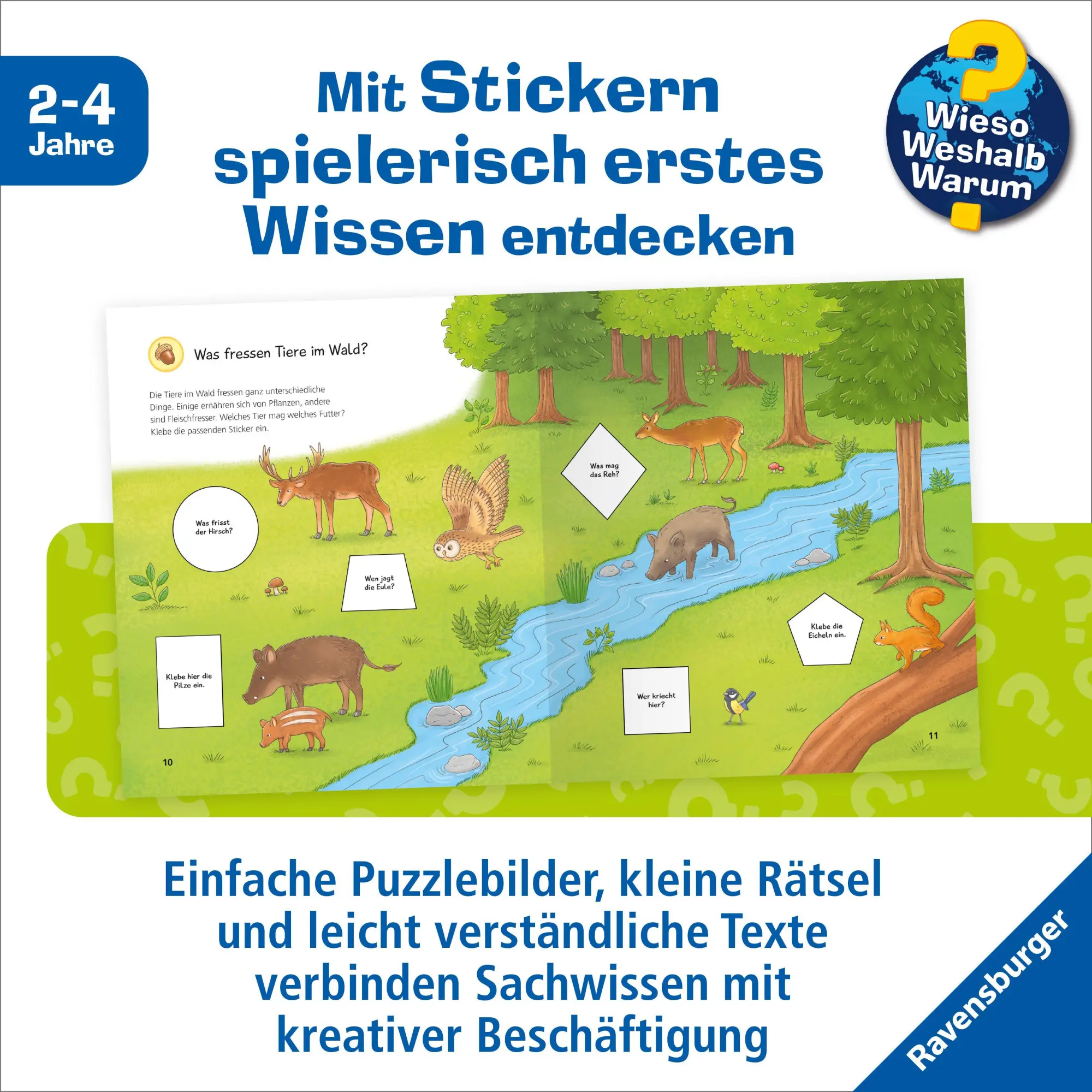 Bild: 9783473601080 | Wieso? Weshalb? Warum? junior Stickerheft - Tiere im Wald | Bougie