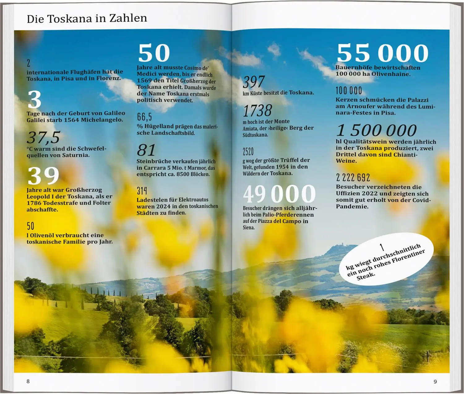 Bild: 9783616001180 | DUMONT direkt Reiseführer Toskana | Mit großem Faltplan | Taschenbuch
