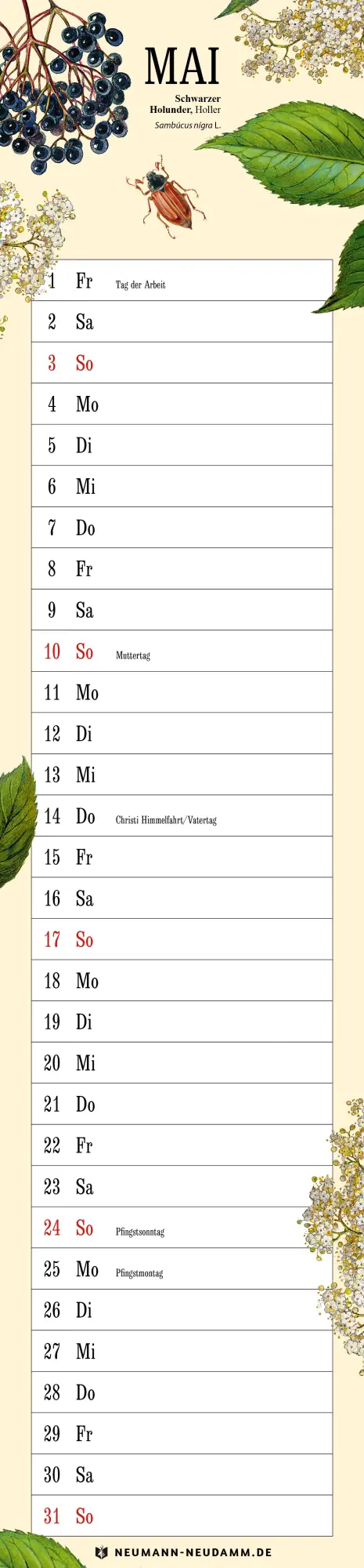 Bild: 9783788821180 | Amann Naturkalender 2026 | Streifenkalender | Kalender | 13 S. | 2026