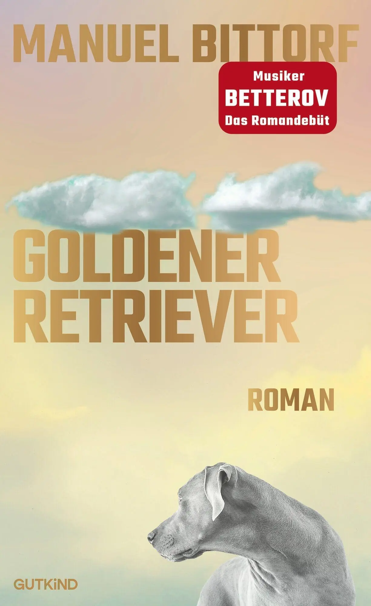 Goldener Retriever