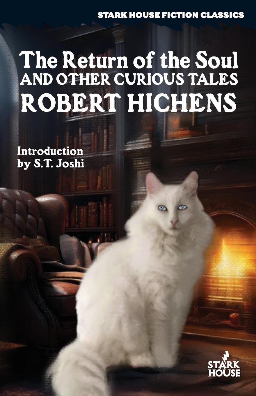 Cover: 9798886011180 | The Return of the Soul &amp; Other Curious Tales | Robert Hichens | Buch