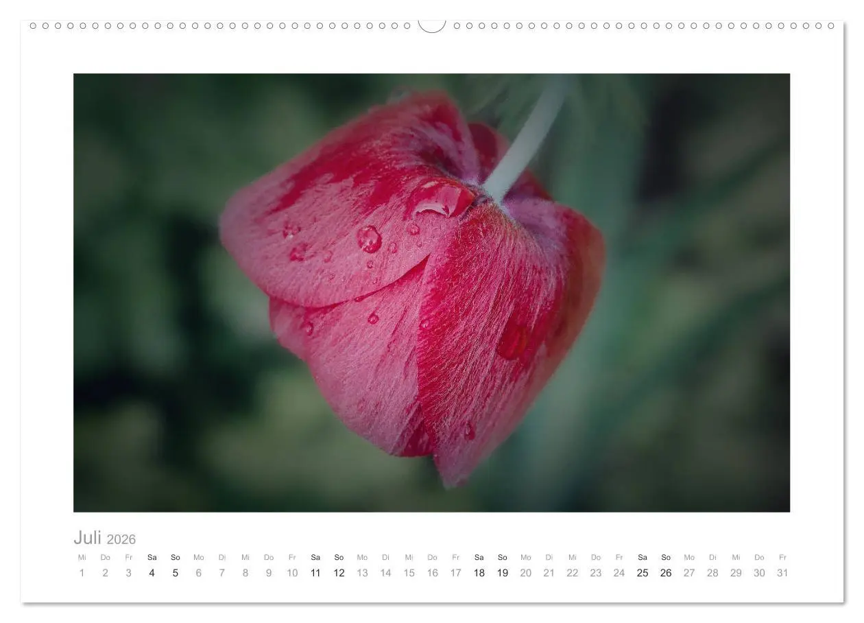 Bild: 9783457771280 | Blumen zart und schön (hochwertiger Premium Wandkalender 2026 DIN...