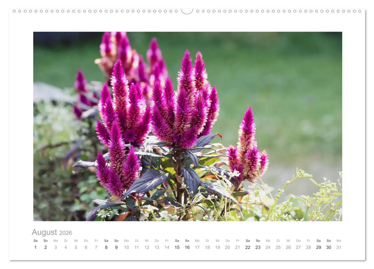 Bild: 9783457771280 | Blumen zart und schön (hochwertiger Premium Wandkalender 2026 DIN...
