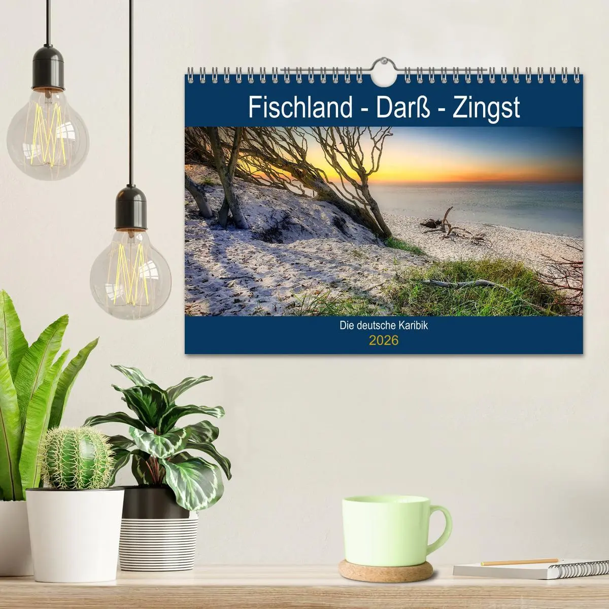 Bild: 9783457911280 | Fischland - Darß- Zingst (Wandkalender 2026 DIN A4 quer), CALVENDO...