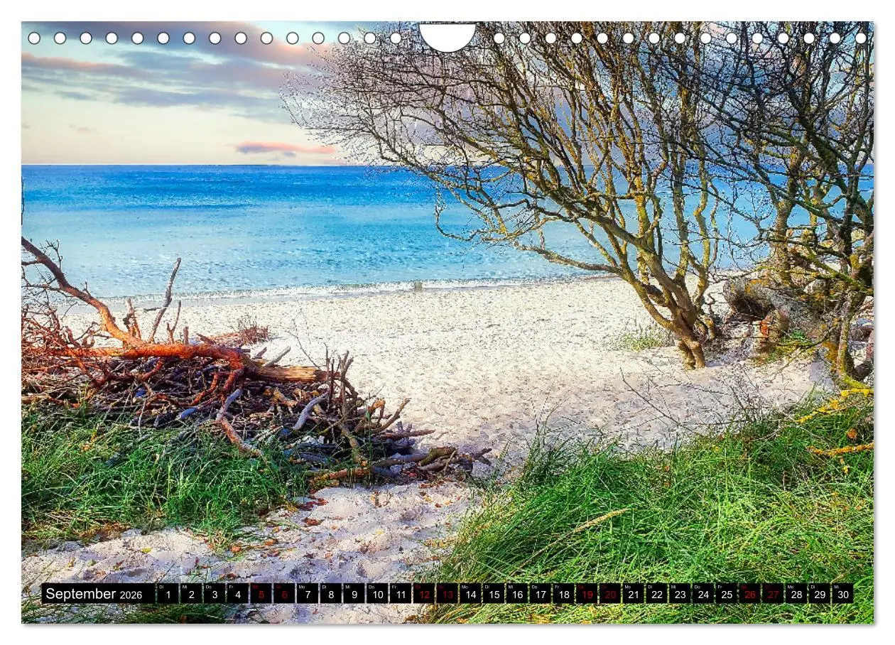 Bild: 9783457911280 | Fischland - Darß- Zingst (Wandkalender 2026 DIN A4 quer), CALVENDO...