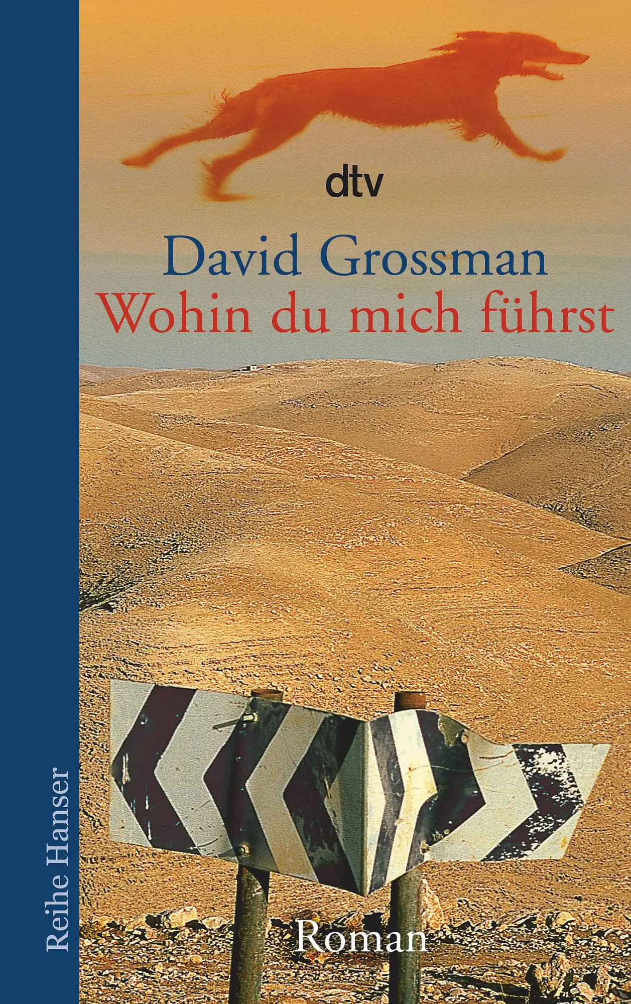Cover: 9783423621380 | Wohin du mich führst | David Grossman | Taschenbuch | 448 S. | Deutsch