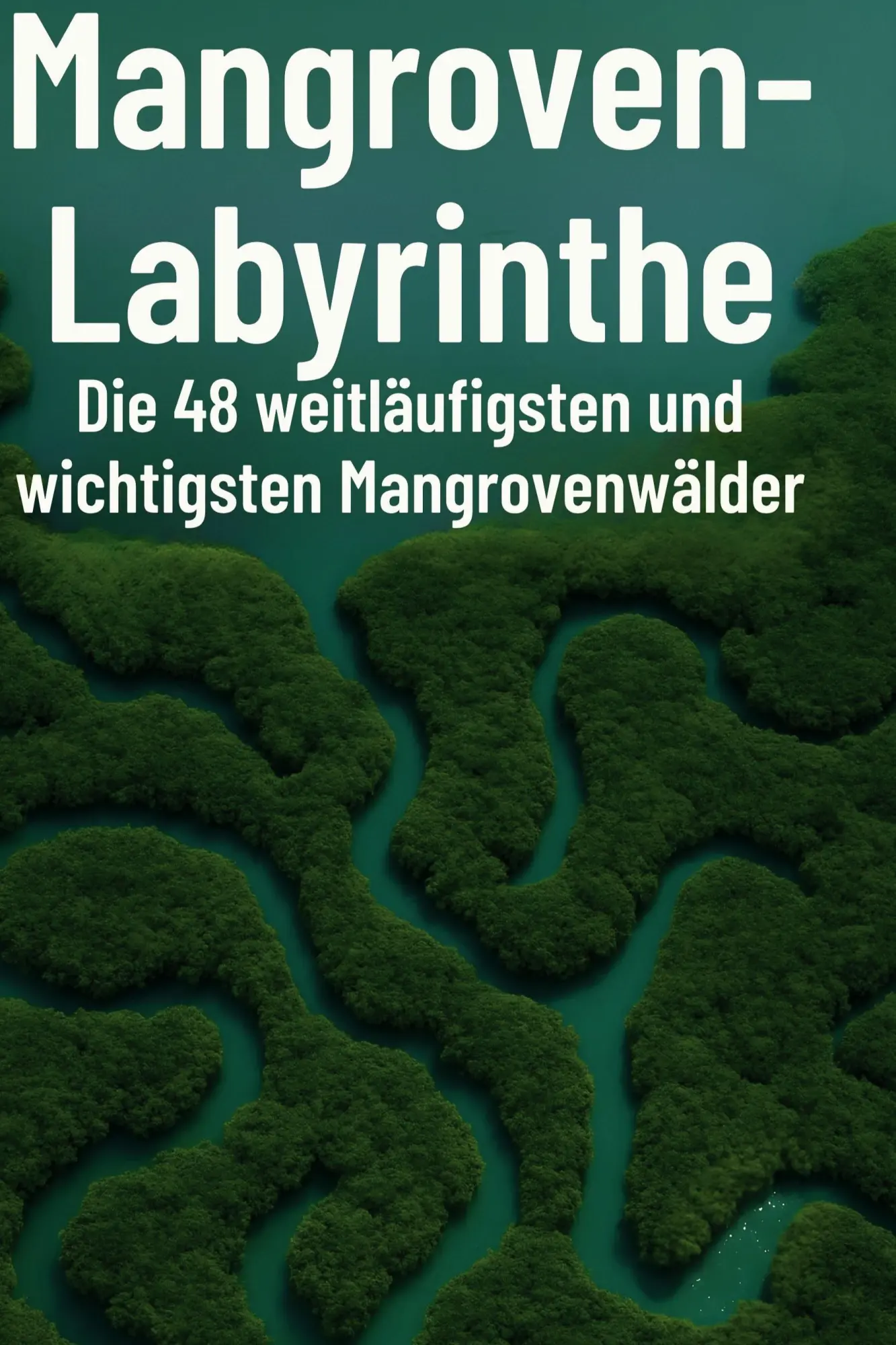 Cover: 9783695361380 | Mangroven-Labyrinthe | Liam Koch | Buch | 102 S. | Deutsch | 2025