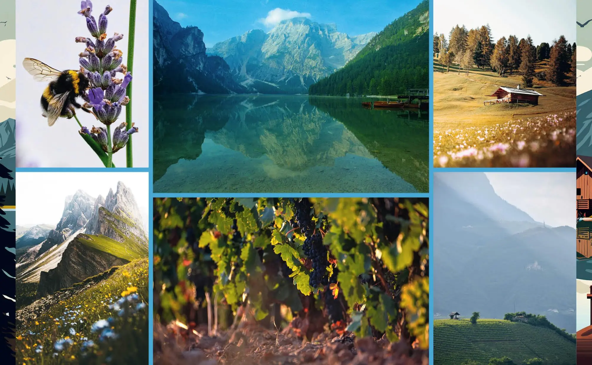 Bild: 9783745921380 | Koch dich nach Südtirol | Edition Michael Fischer | Buch | 80 S.