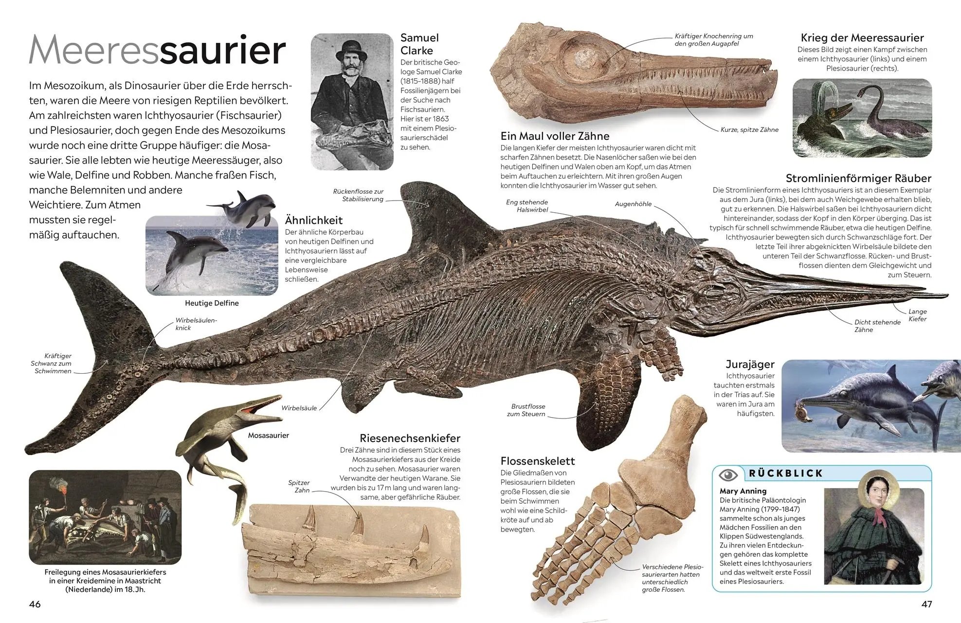 Bild: 9783831051380 | memo Wissen. Fossilien | Paul D. Taylor | Buch | 72 S. | Deutsch