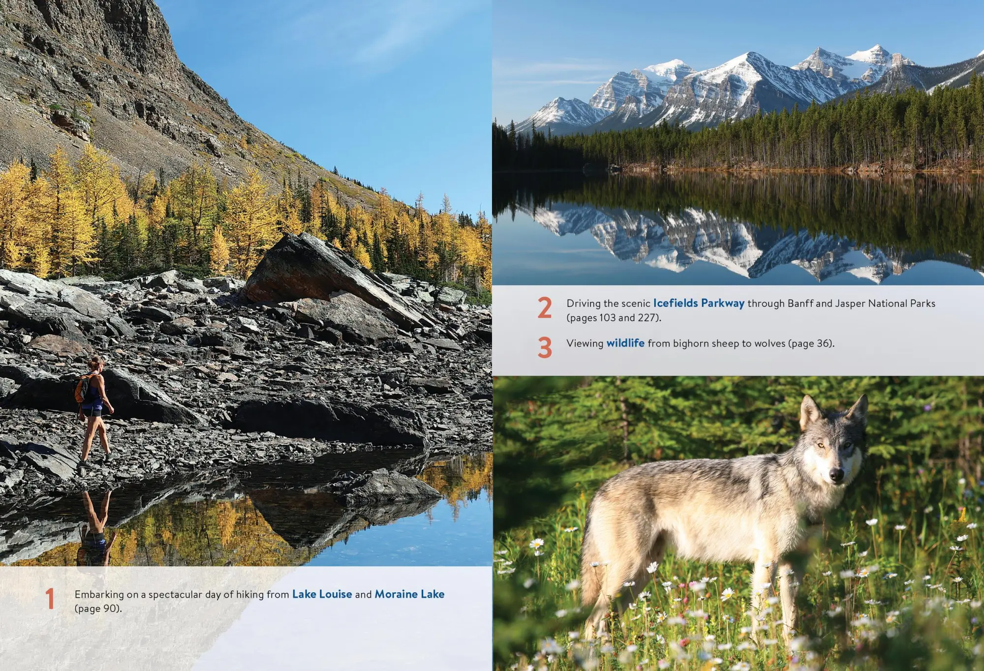 Bild: 9798886471380 | Moon Canadian Rockies: With Banff &amp; Jasper National Parks (Twelth...