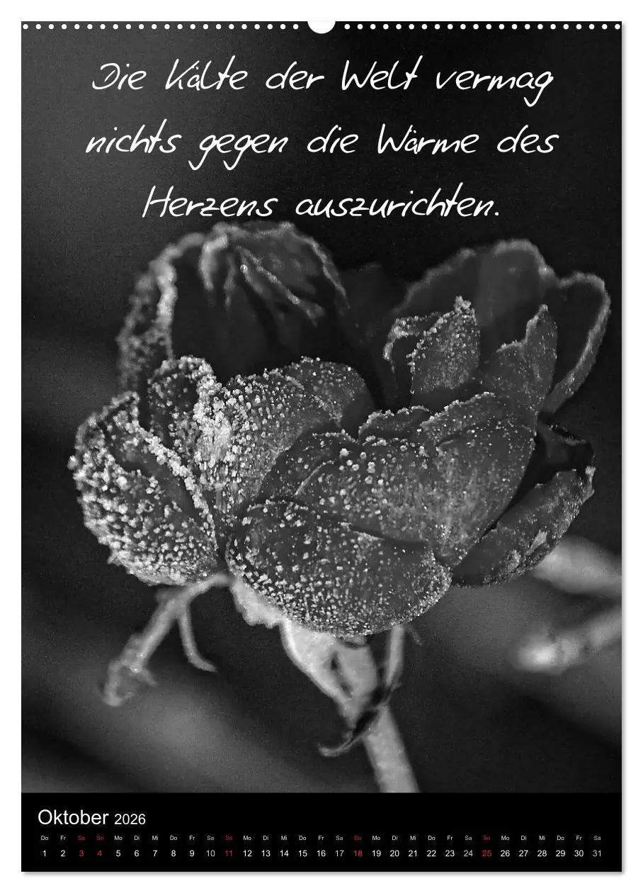 Bild: 9783516461480 | Kluge Sprüche in Schwarz-Weiß (hochwertiger Premium Wandkalender...