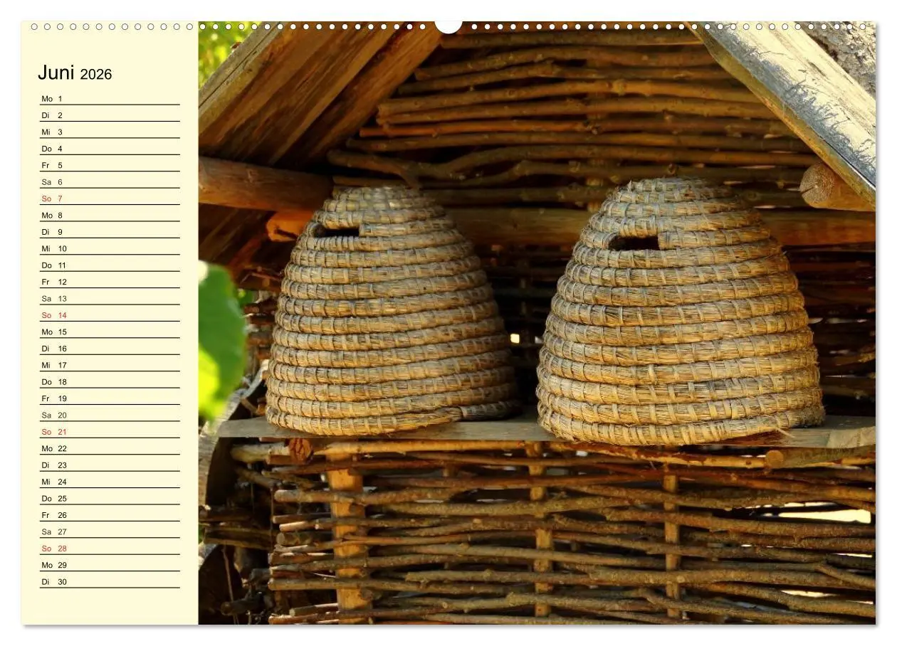 Bild: 9783457981580 | Fleißige Bienen. Von der Blüte bis zum Honig (hochwertiger Premium...