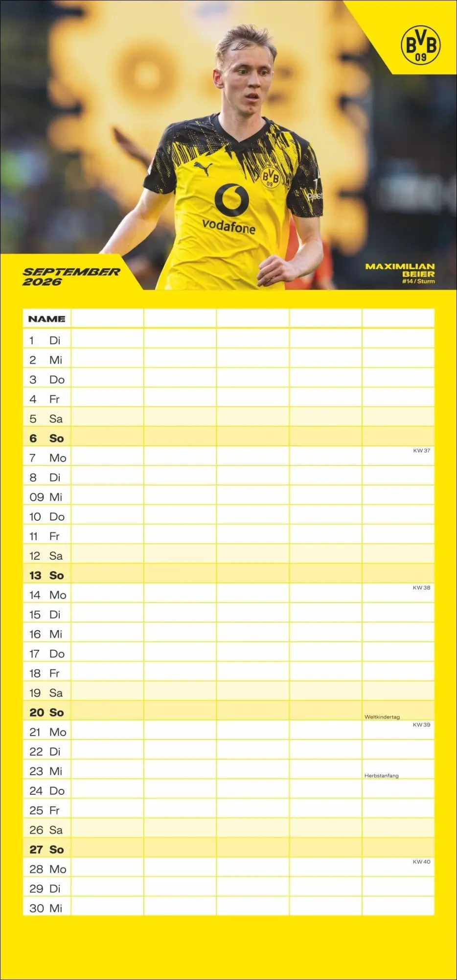 Bild: 9783756411580 | BVB Familienplaner 2026 | Heye | Kalender | Bundesliga Kalender Heye
