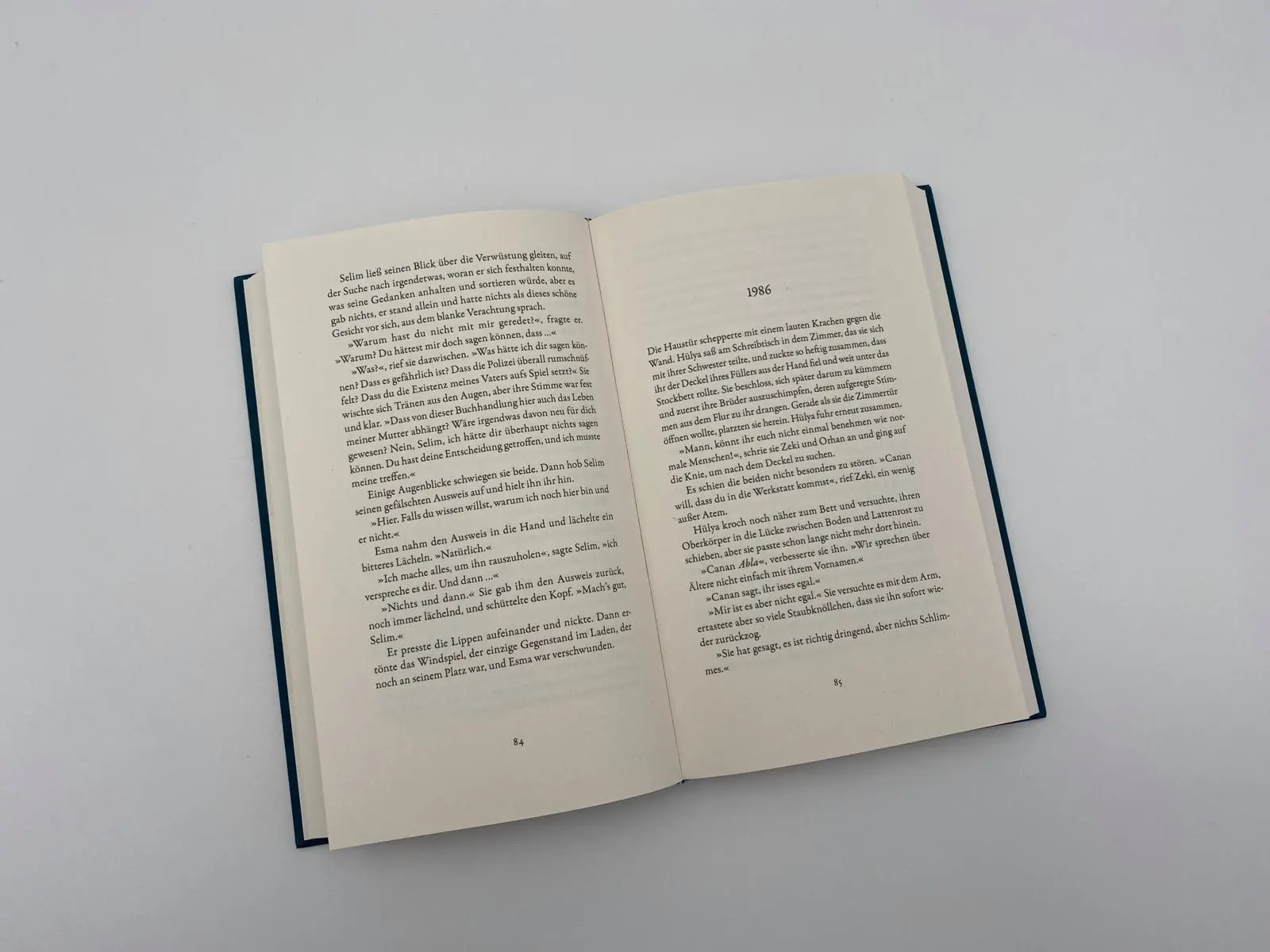 Bild: 9783492071680 | Natürlich kann man hier nicht leben | Özge Inan | Buch | 240 S. | 2023