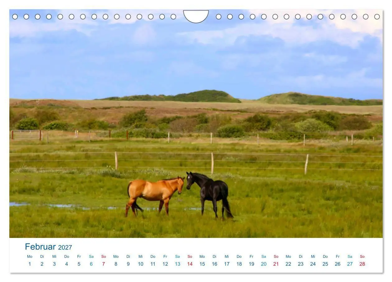Bild: 9783569841680 | Langeoog 2027. Impressionen zwischen Hafen und Ostende...