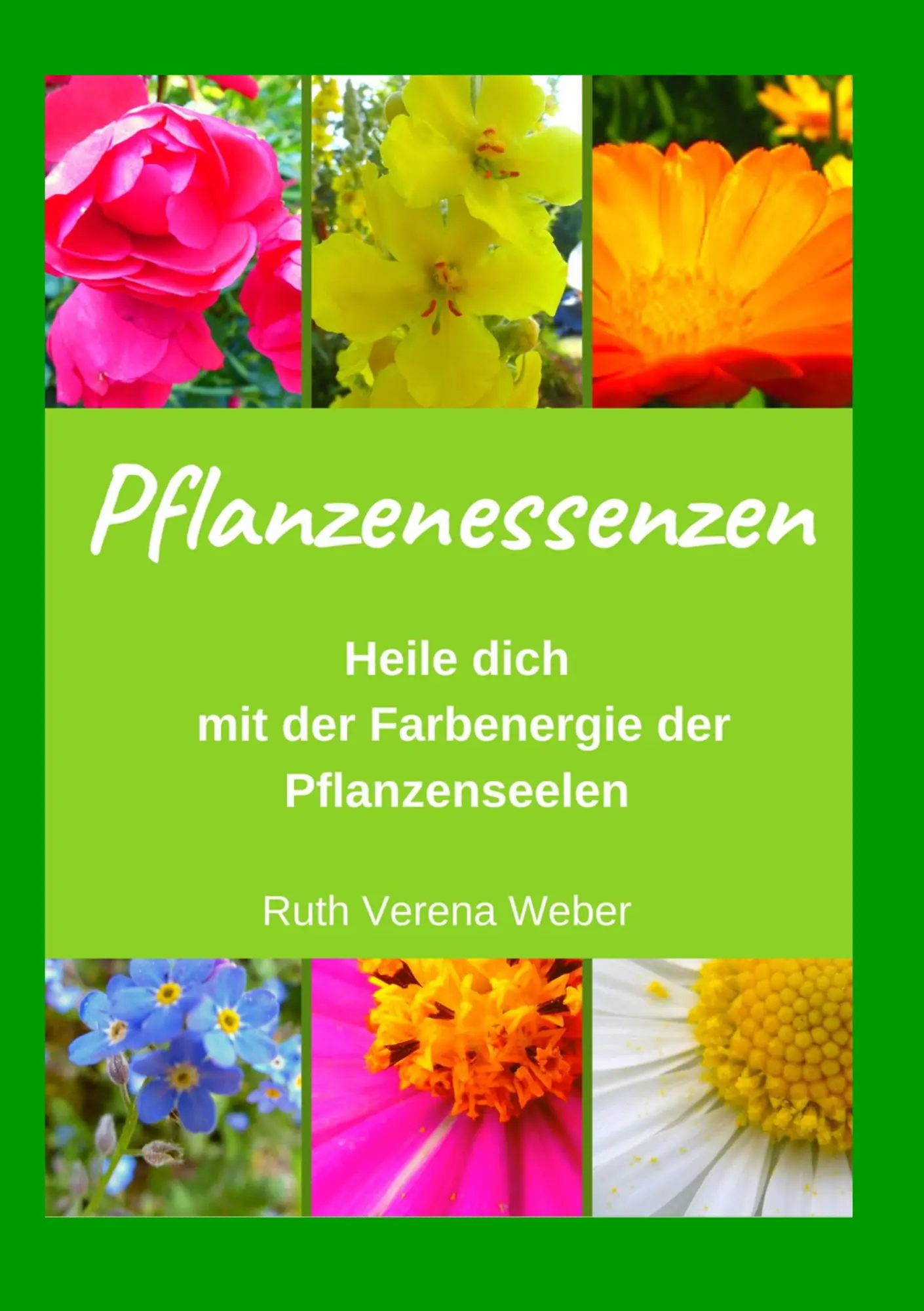 Cover: 9783751901680 | Pflanzenessenzen | Heile dich mit der Farbenergie der Pflanzenseelen