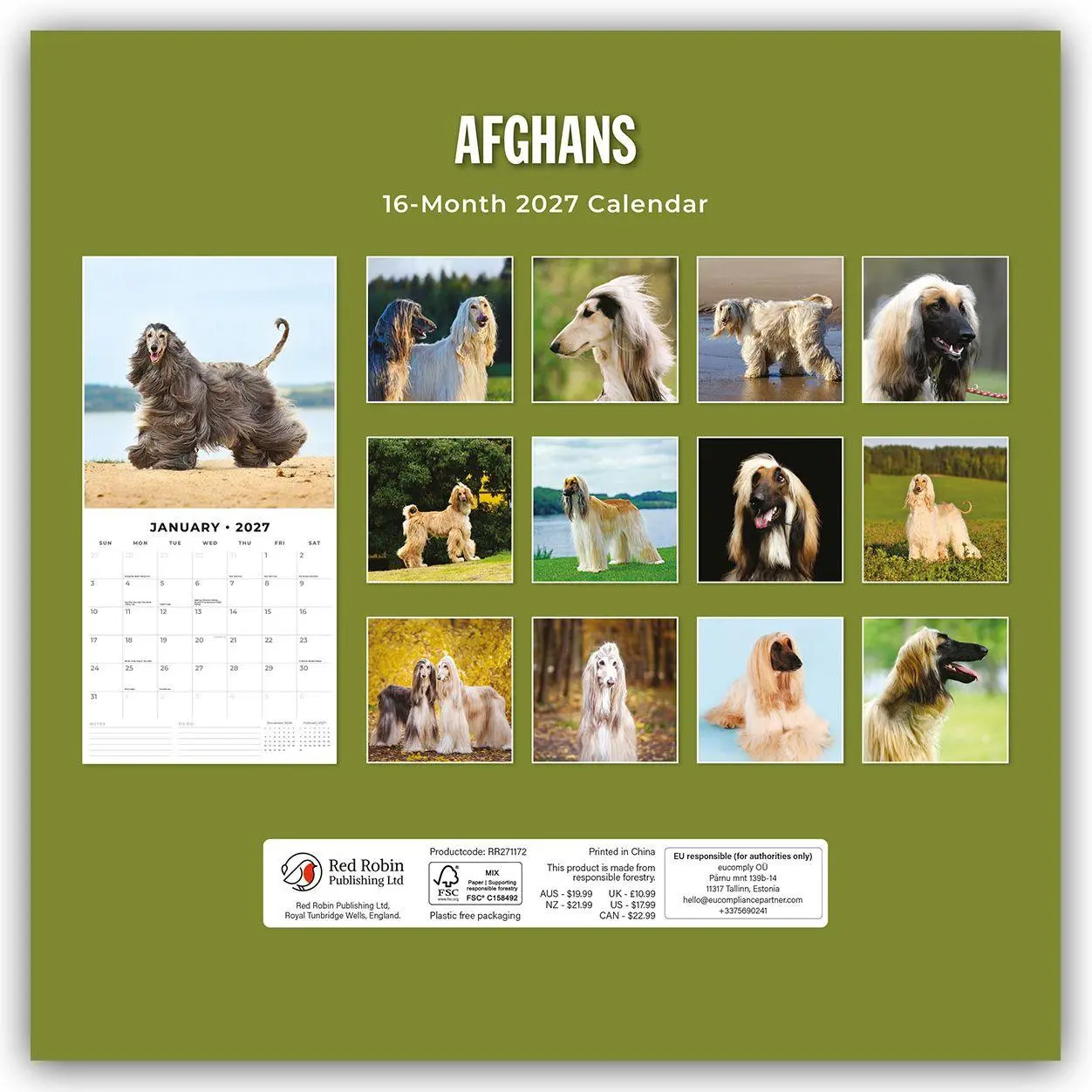 Rückseite: 9781837011780 | Afghans - Afghanischer Windhund 2027 - 16-Monatskalender | Robin Red