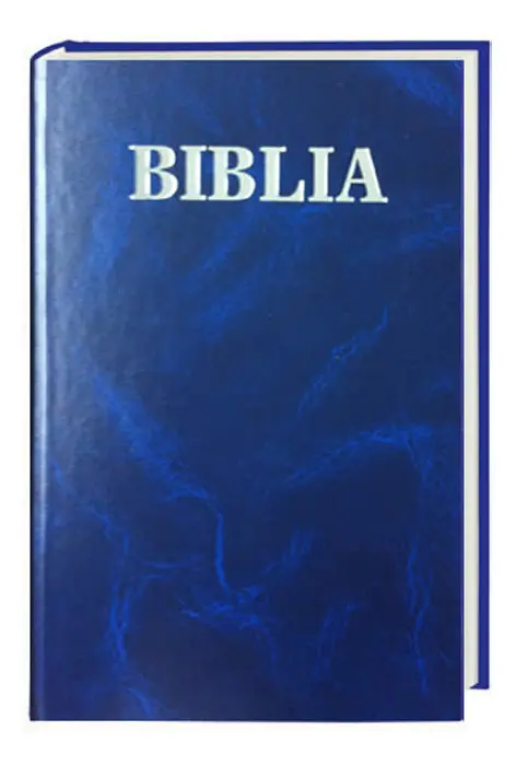 Cover: 9783438081780 | Biblia - Bibel Slowakisch | Traditionelle Übersetzung | Buch | KUNST